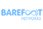 Barefoot Networks